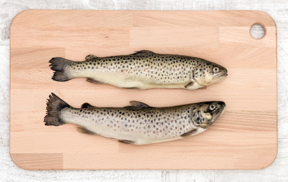 Essential tips for cleaning and cooking trout