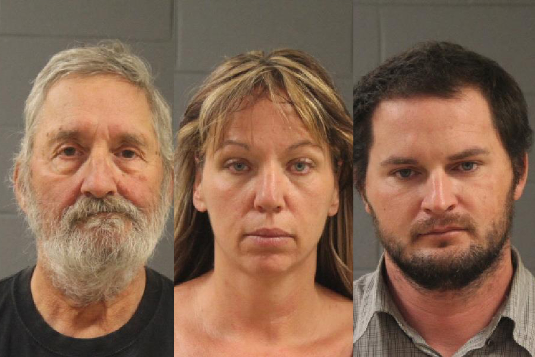 Arrests made after 3 horses found dead on New Harmony property