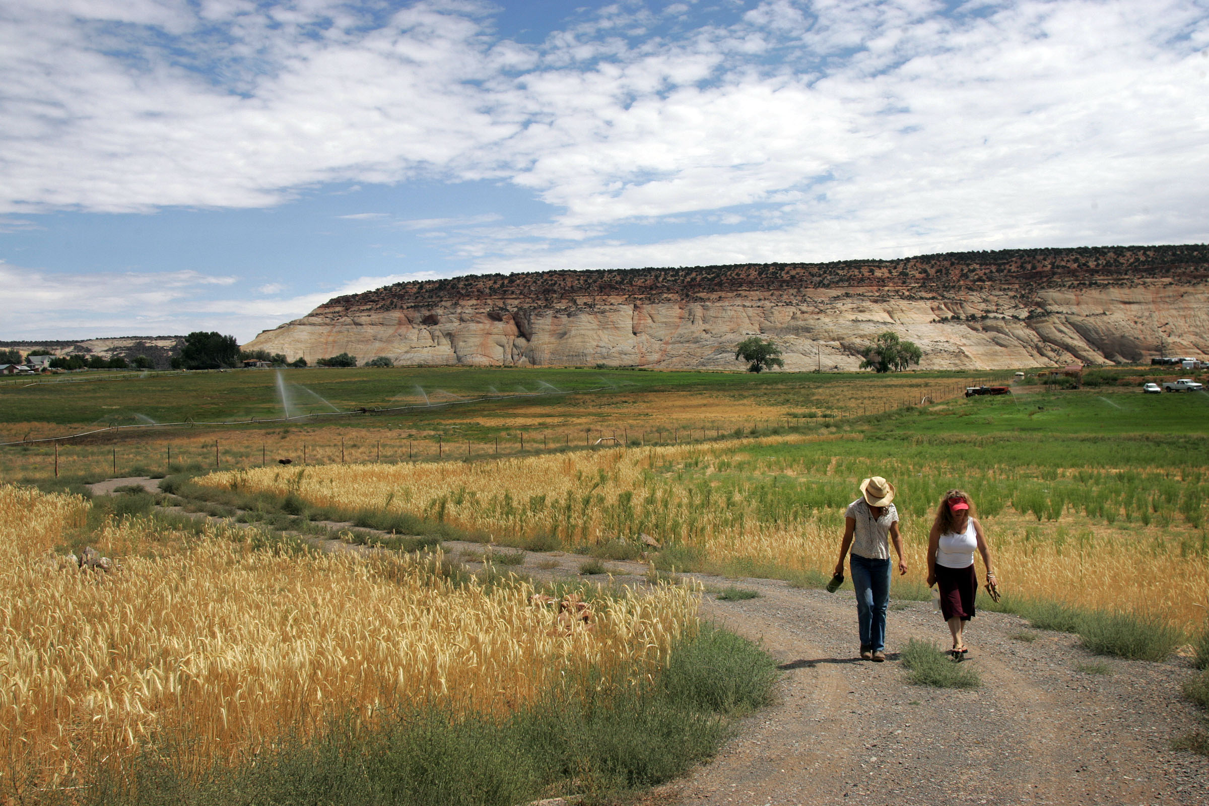 Want the best food in the state? Travel to southeast Utah, magazine’s readers say