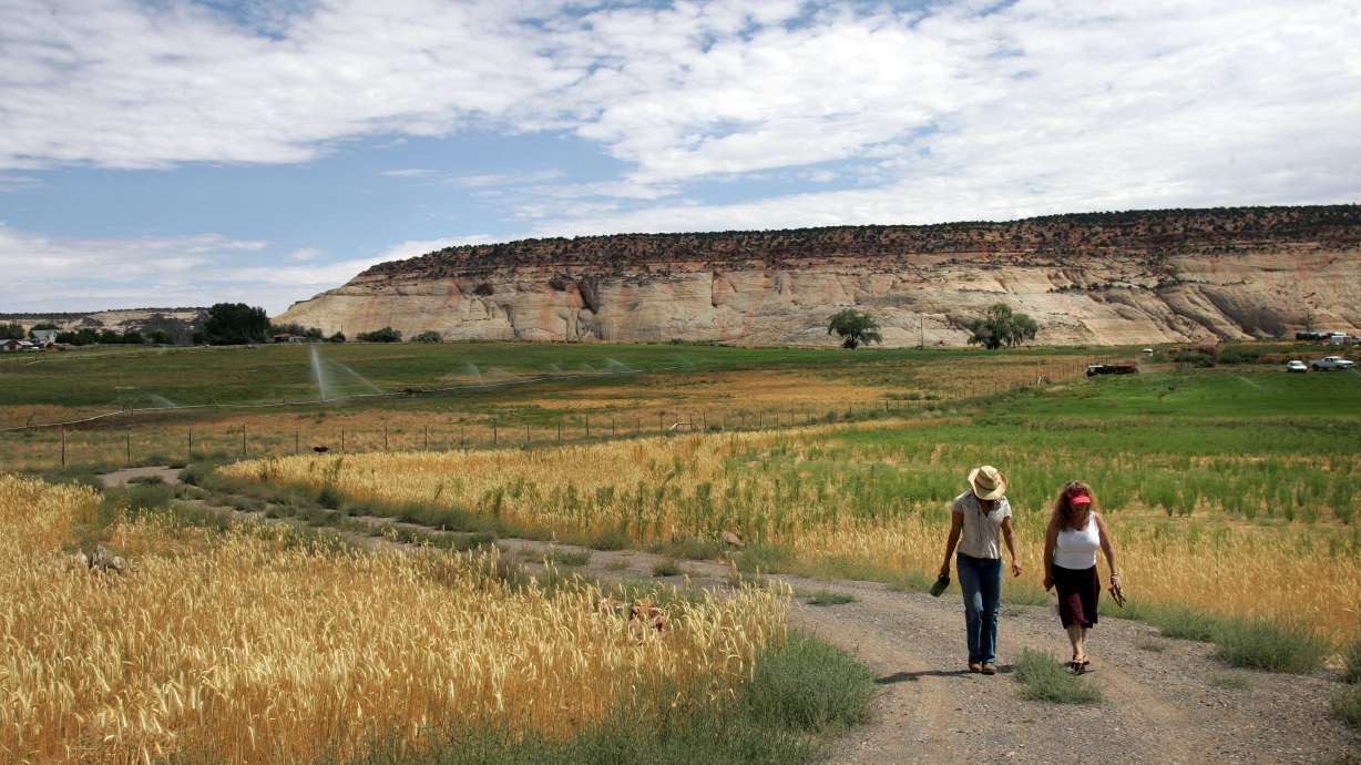 Want the best food in the state? Travel to southeast Utah, magazine’s readers say