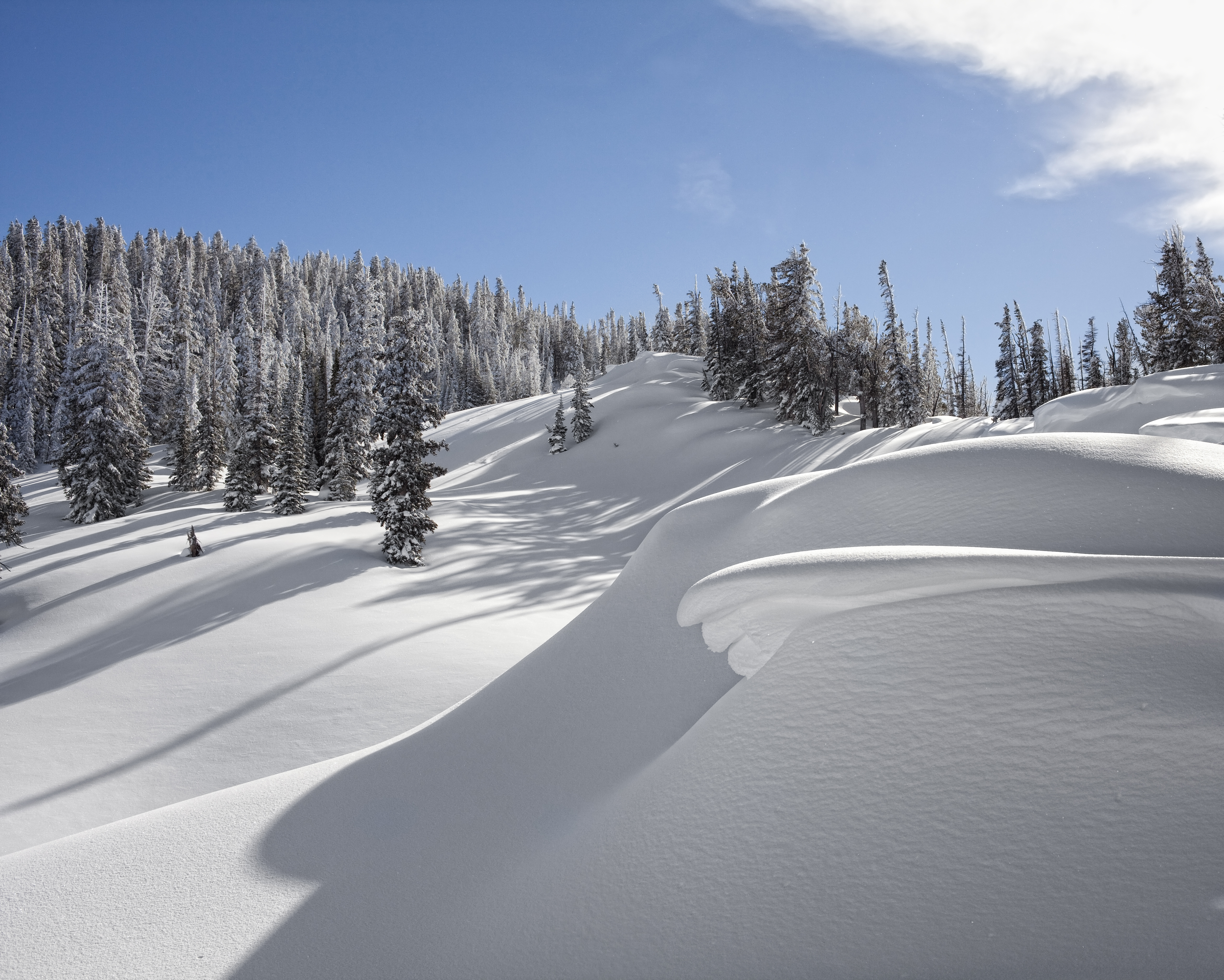 Missing skier survives 2 nights in frigid weather