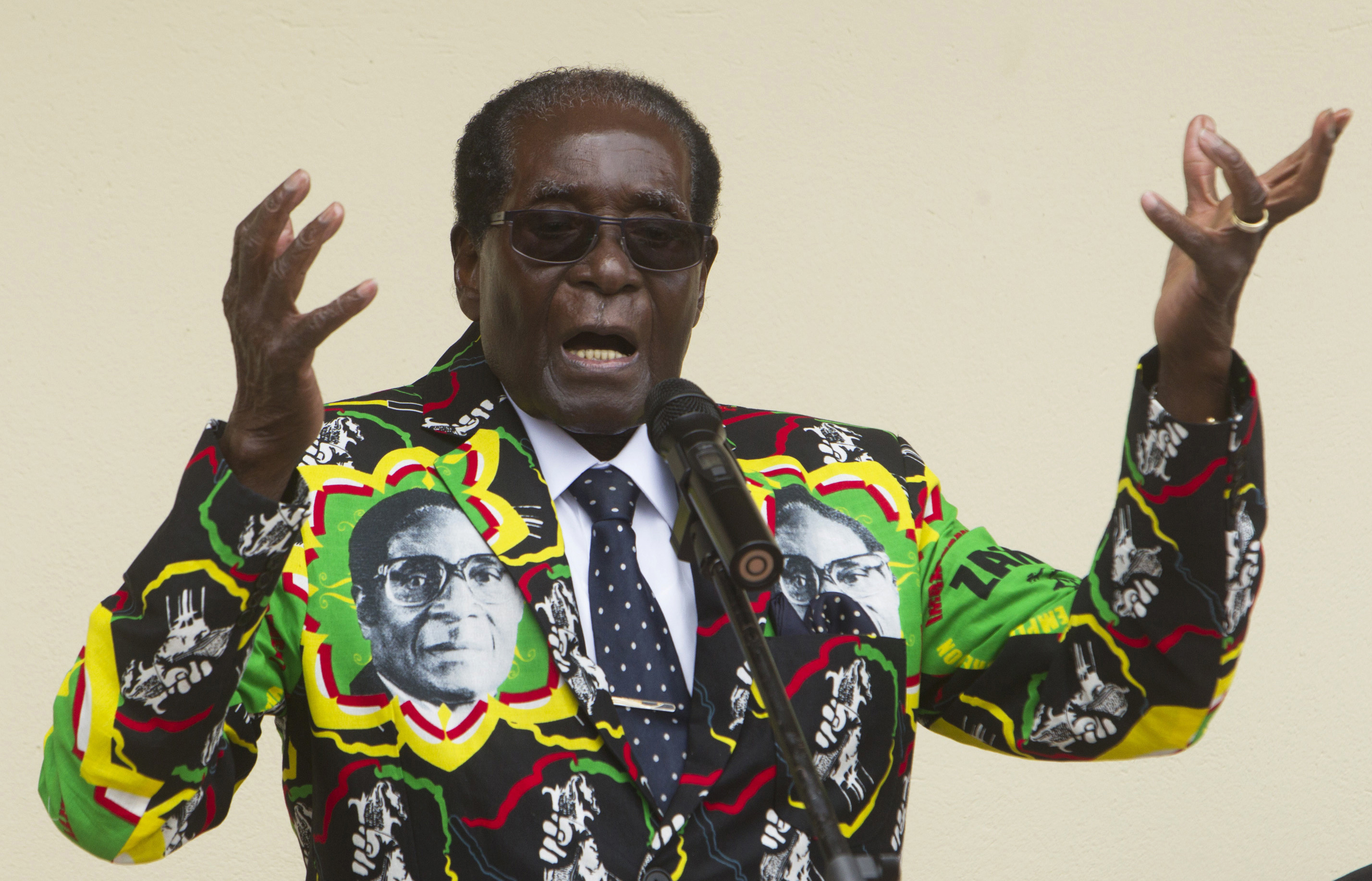 Zimbabwe's Mugabe marks 93rd birthday in opposition area