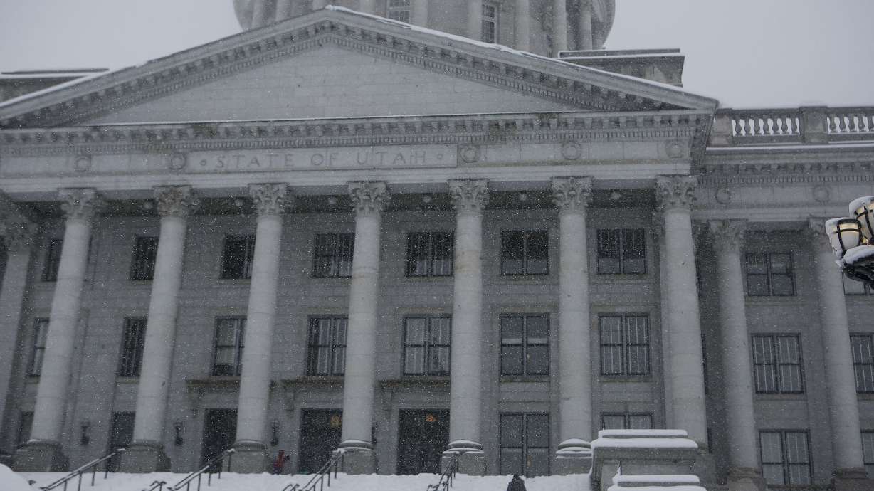 Senate passes bill allowing legal action on behalf of minors injured by pornography