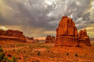 Photo Contest