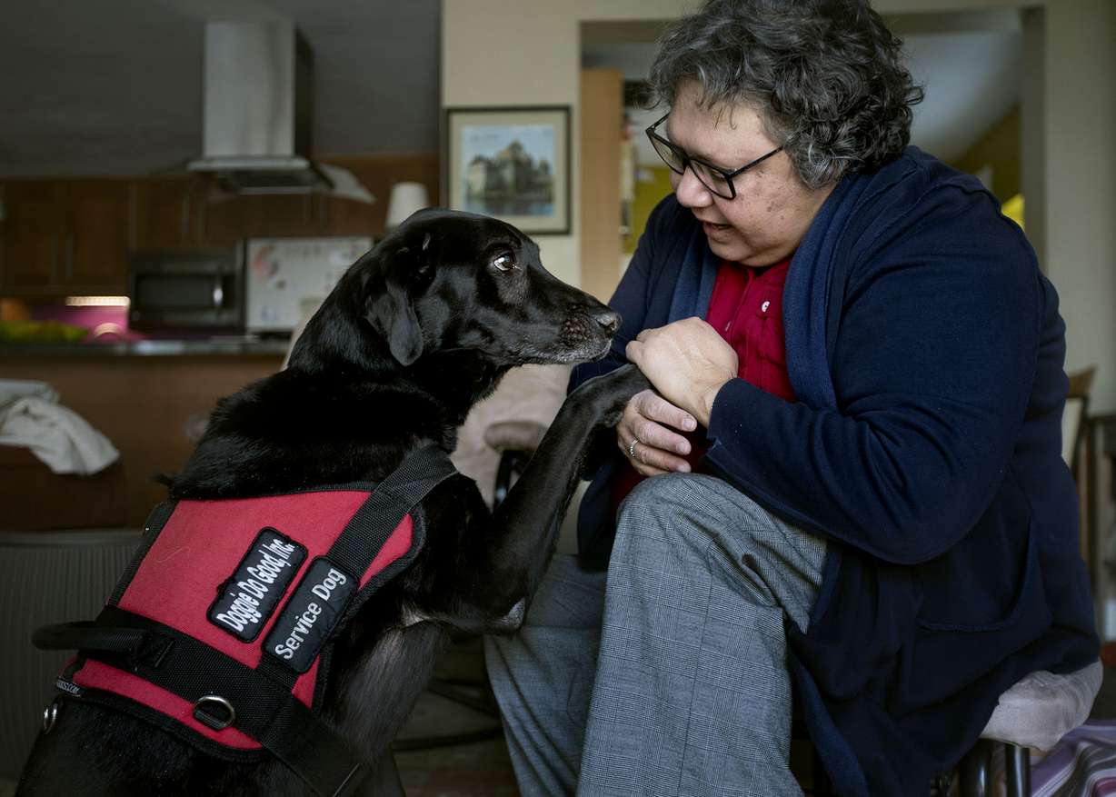 Maria Tello pets her service dog, Malachi, in their home in Salt Lake City on Wednesday, March 1, 2017. Malachi is a diabetic alert dog. He can alert Tello if her blood sugar rises or falls below a certain level. (Photo: Laura Seitz, Deseret News)