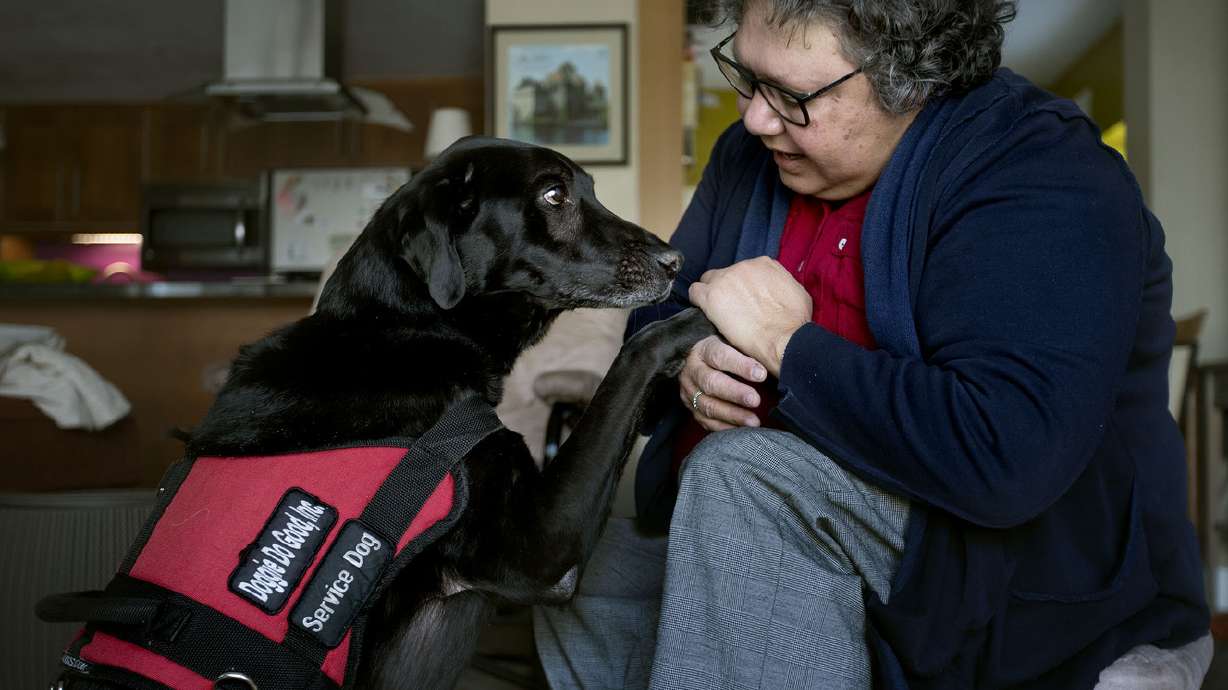 Proposed service animal registry would help ID growing number of companion pets in Utah