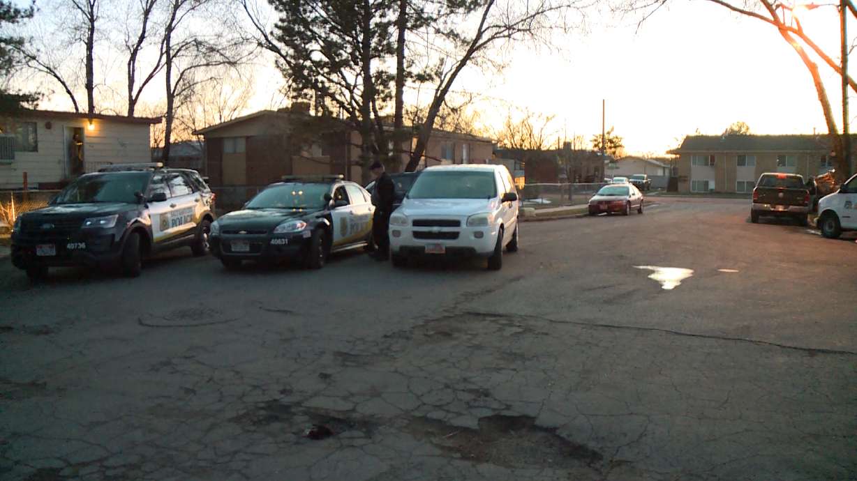 Police ID man killed by vehicle falling on him