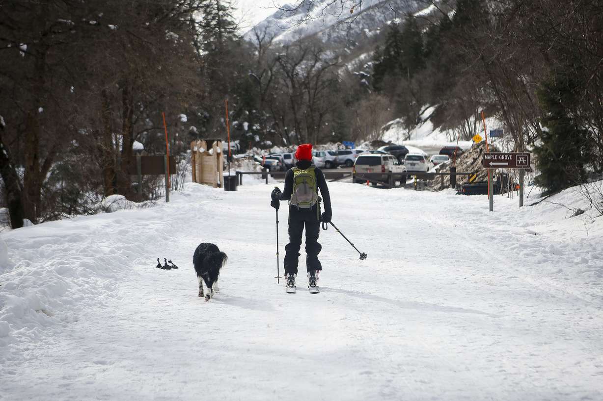People enjoy the warm weather before the snow melts in Millcreek Canyon on Friday, March 3, 2017. Photo: Nicole Boliaux, Deseret News