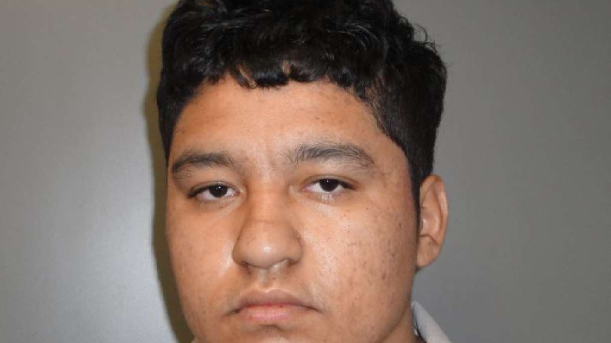 Decapitation case: Suspect says he 'felt like' killing