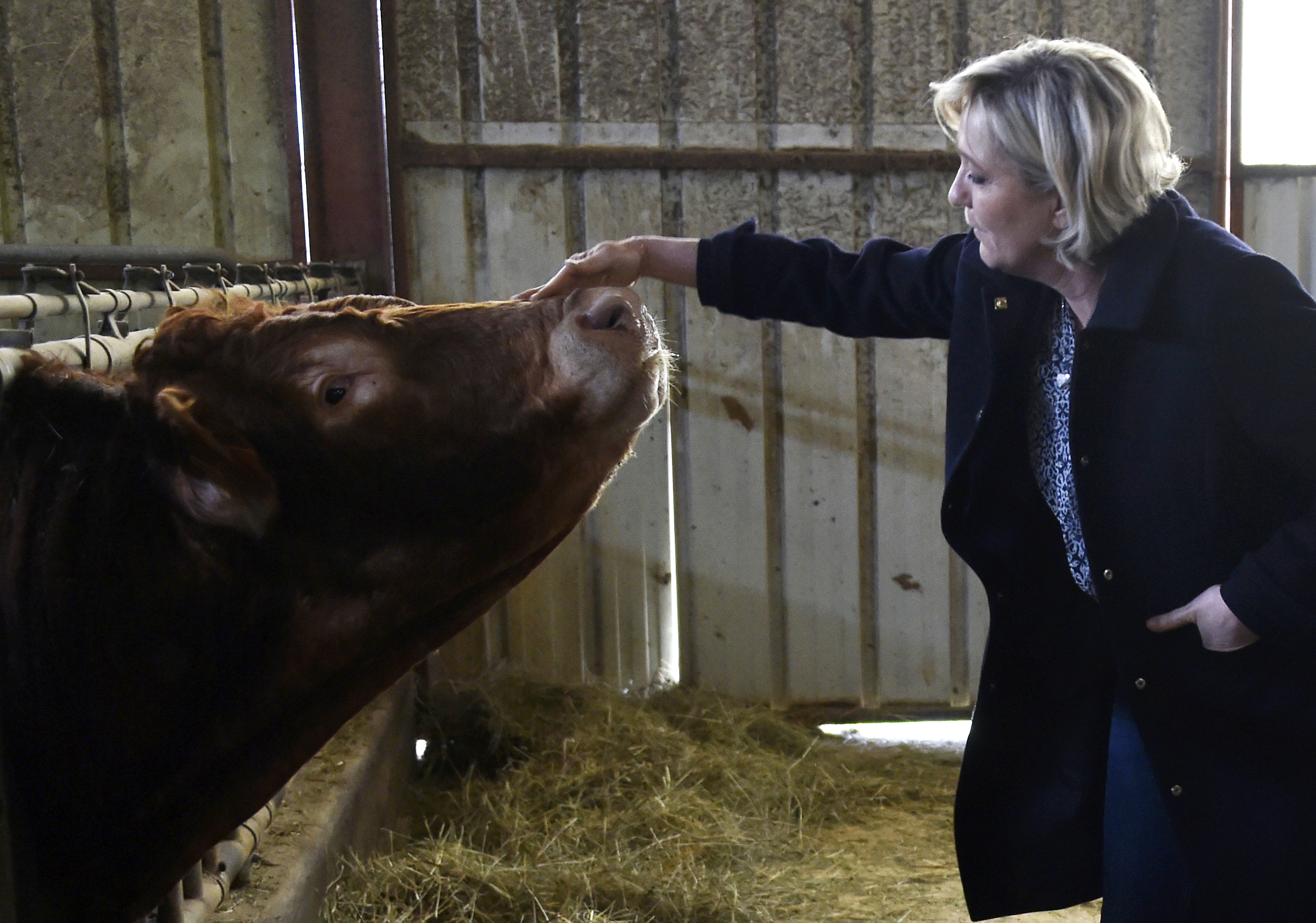 French ambassador says he won't serve if Le Pen is president