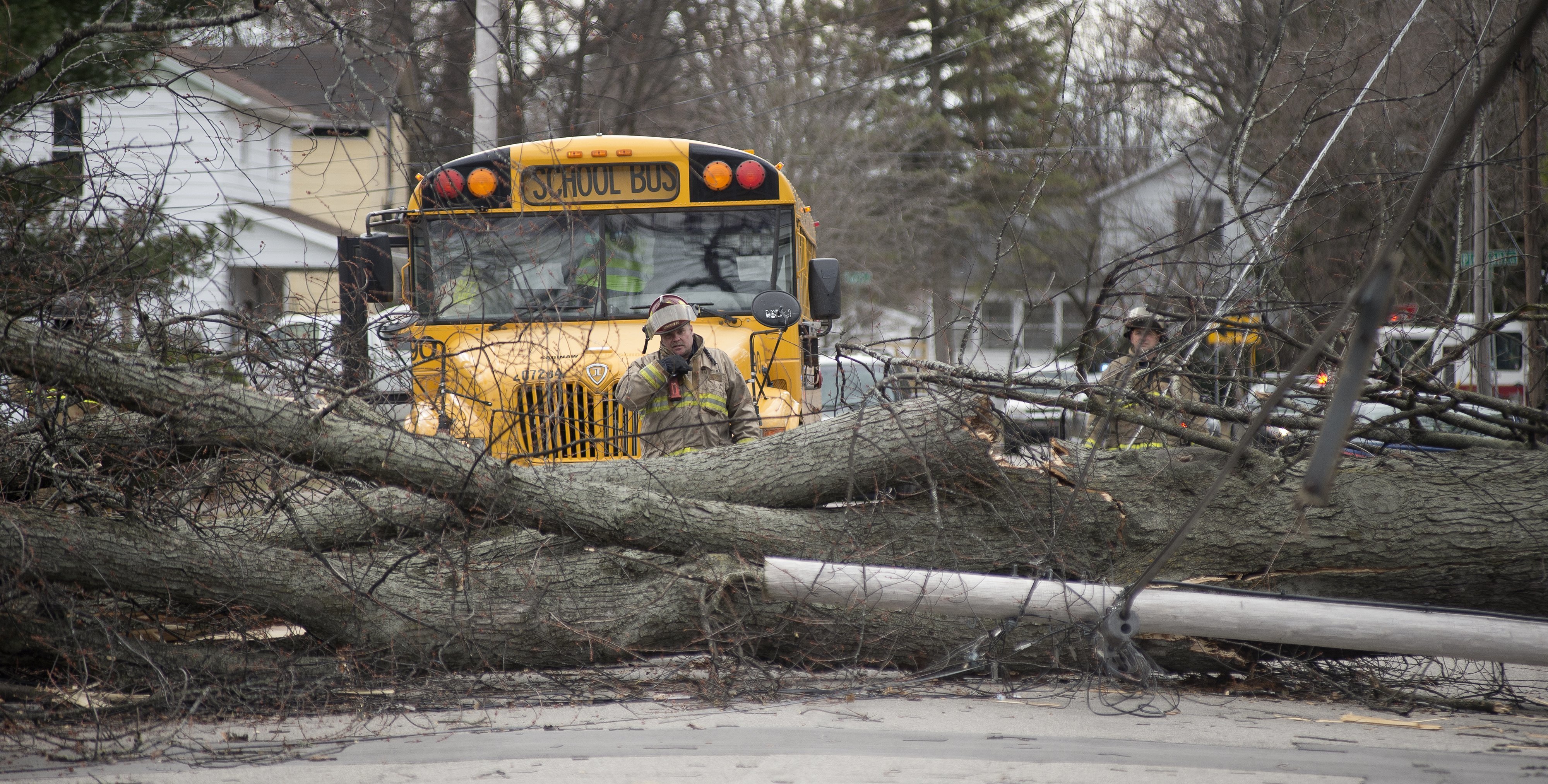 2 killed when powerful wind throws tree onto car in Michigan