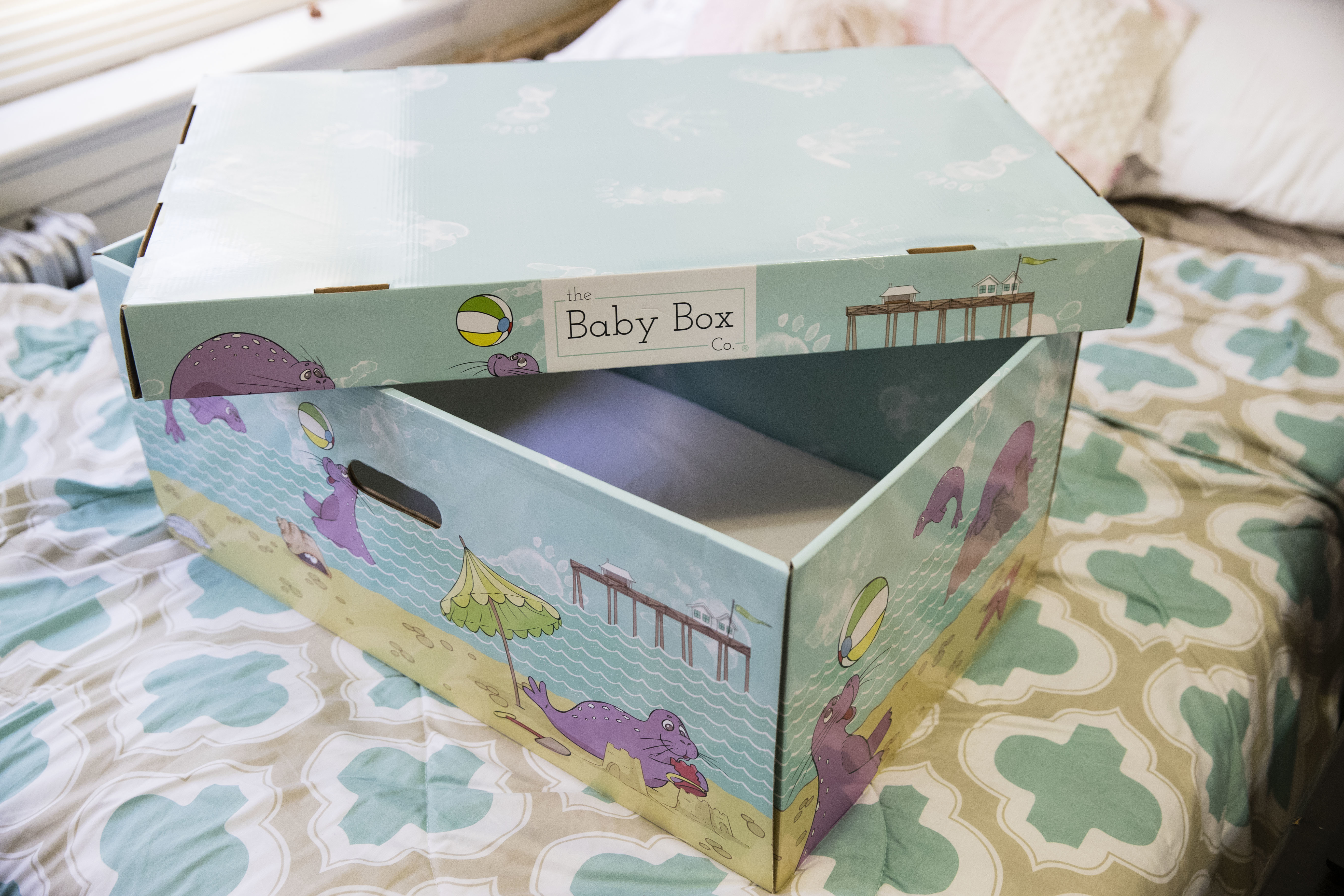 Displayed at the home of Dolores Peterson is a box that can be uses as a crib in Camden, N.J., Monday, March 6, 2017. New Jersey became the first state to send newborn babies and their parents home with a box that doubles as a crib and full of necessities, with the aim of cutting back on sudden infant death syndrome. (Matt Rourke, AP Photo)
