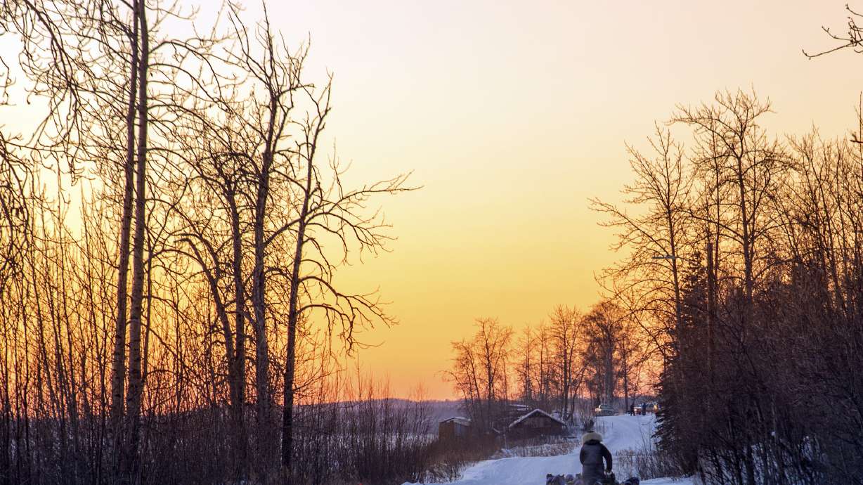 Father, son battle for lead in Iditarod race across Alaska