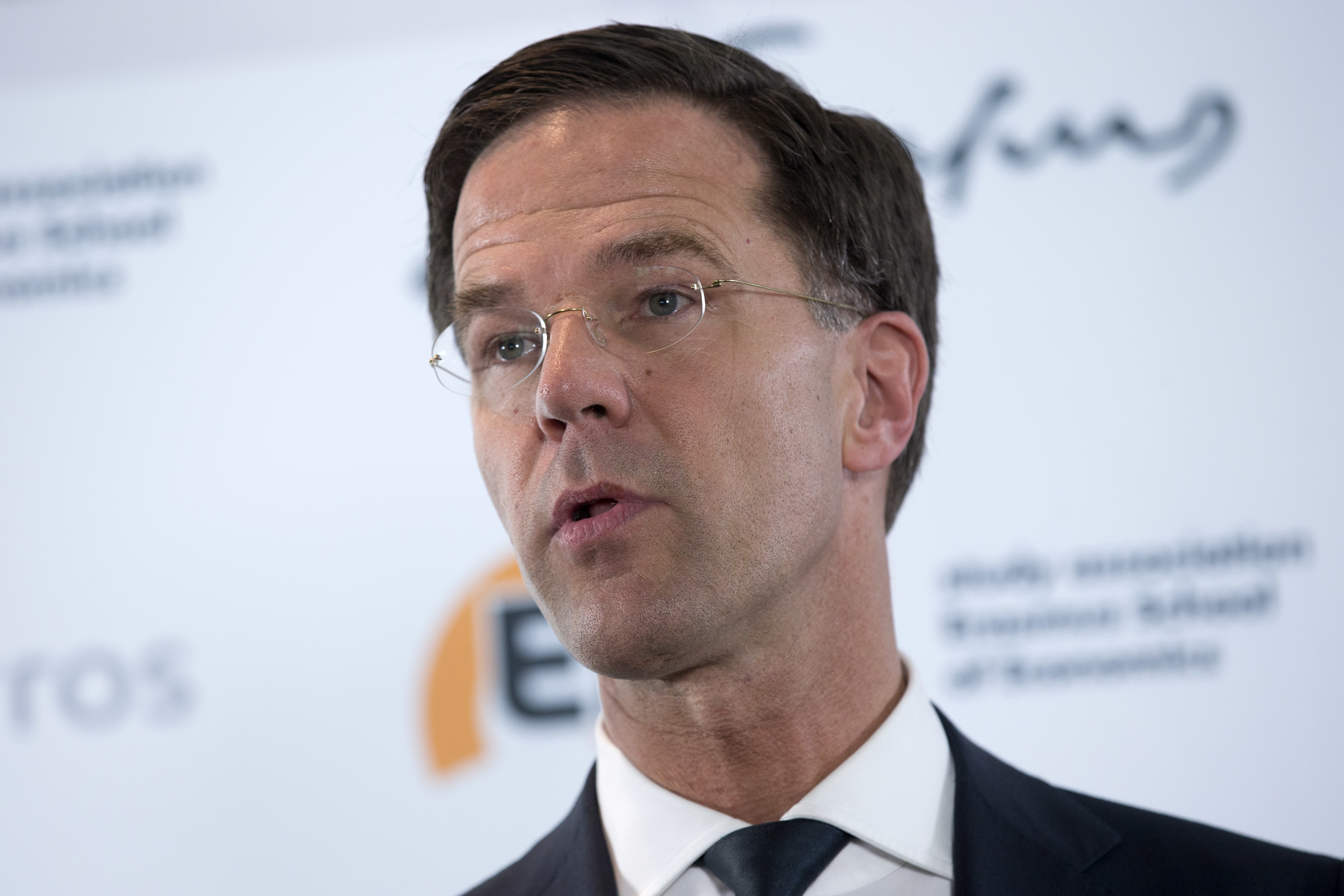 Dutch premier wants to turn tide of populism in election