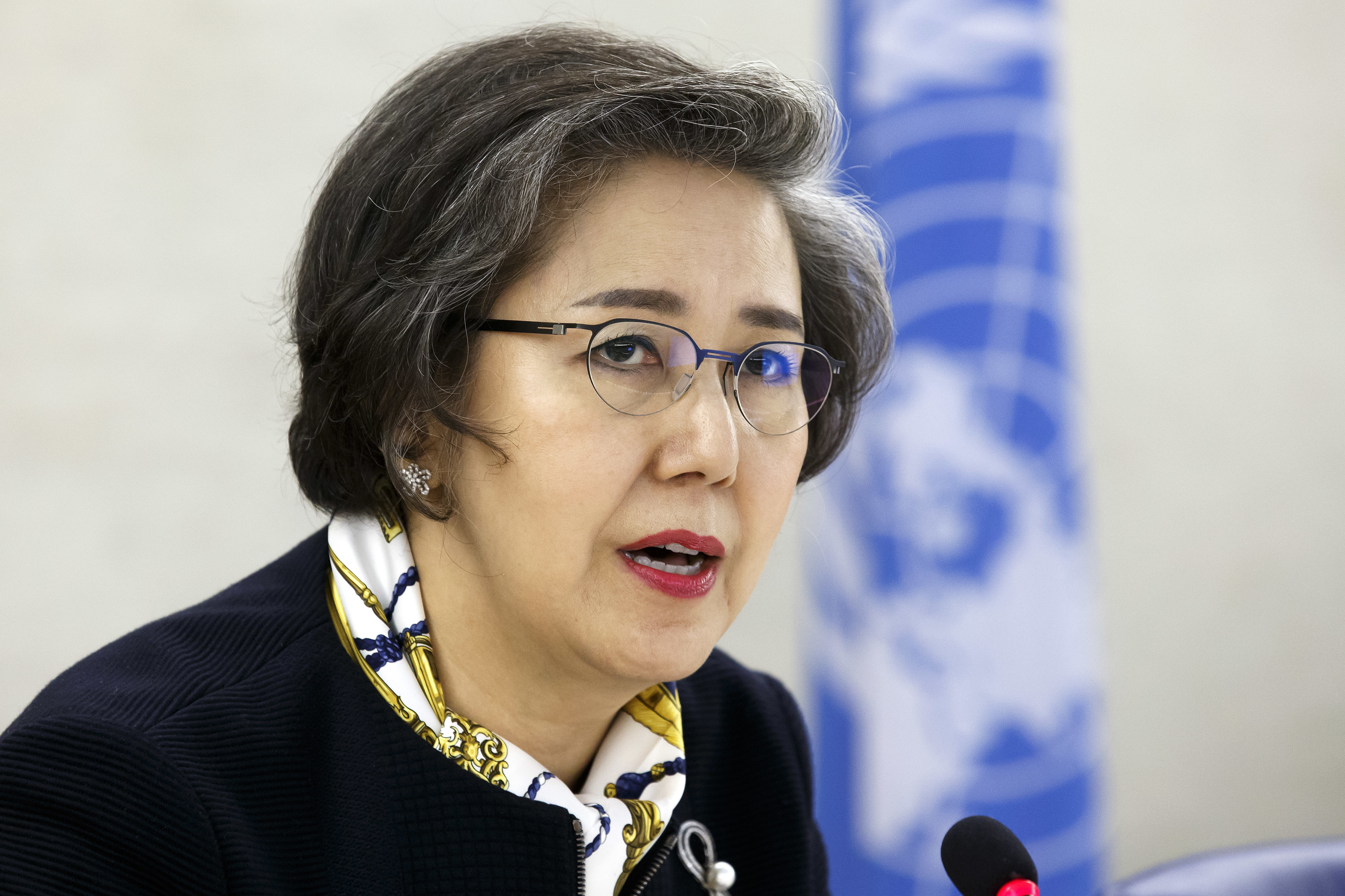 Rapporteur 'disappointed' UN rights panel divided on Myanmar