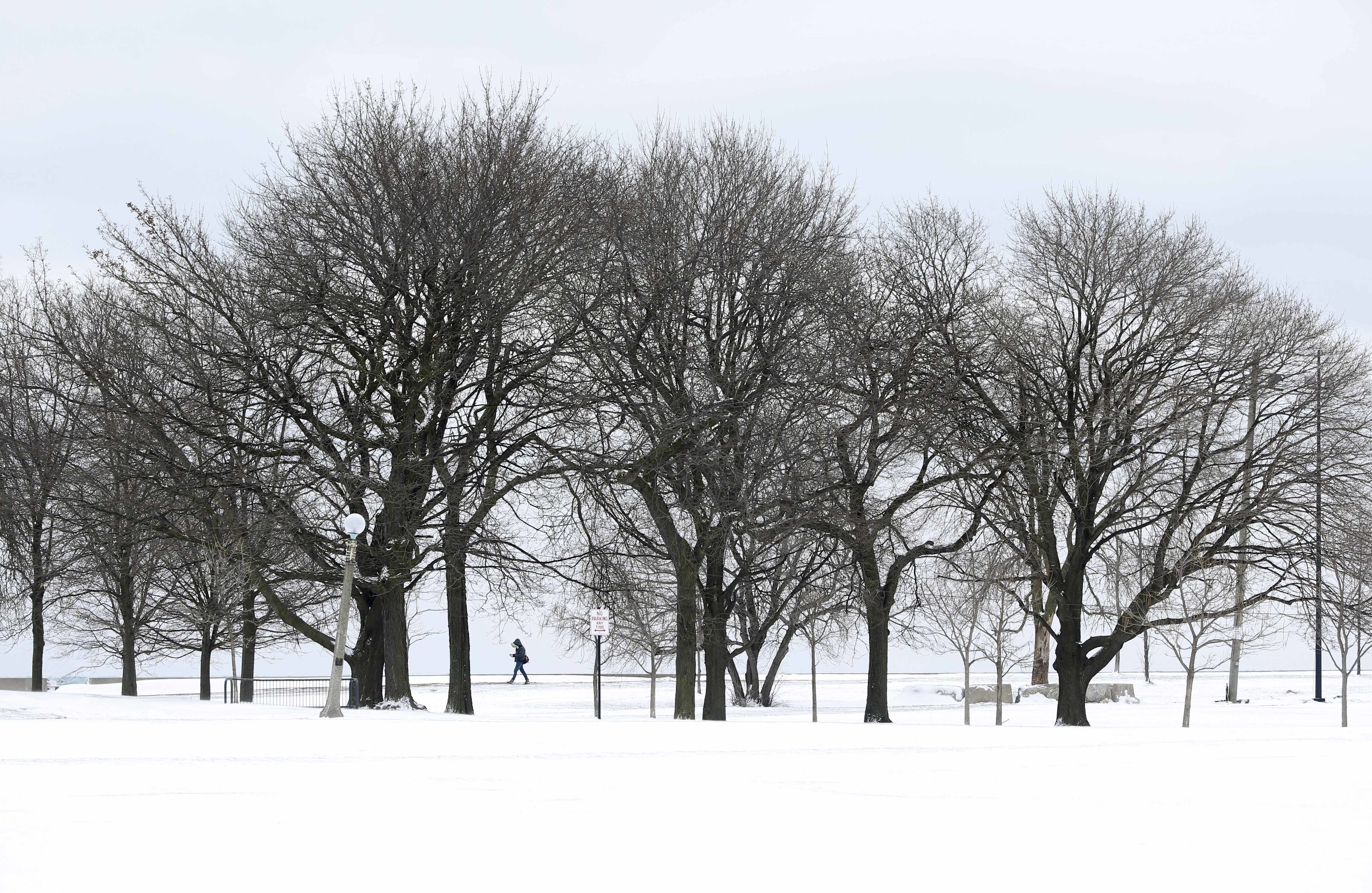 The Latest: Trains returning; cold threatens cherry blossoms