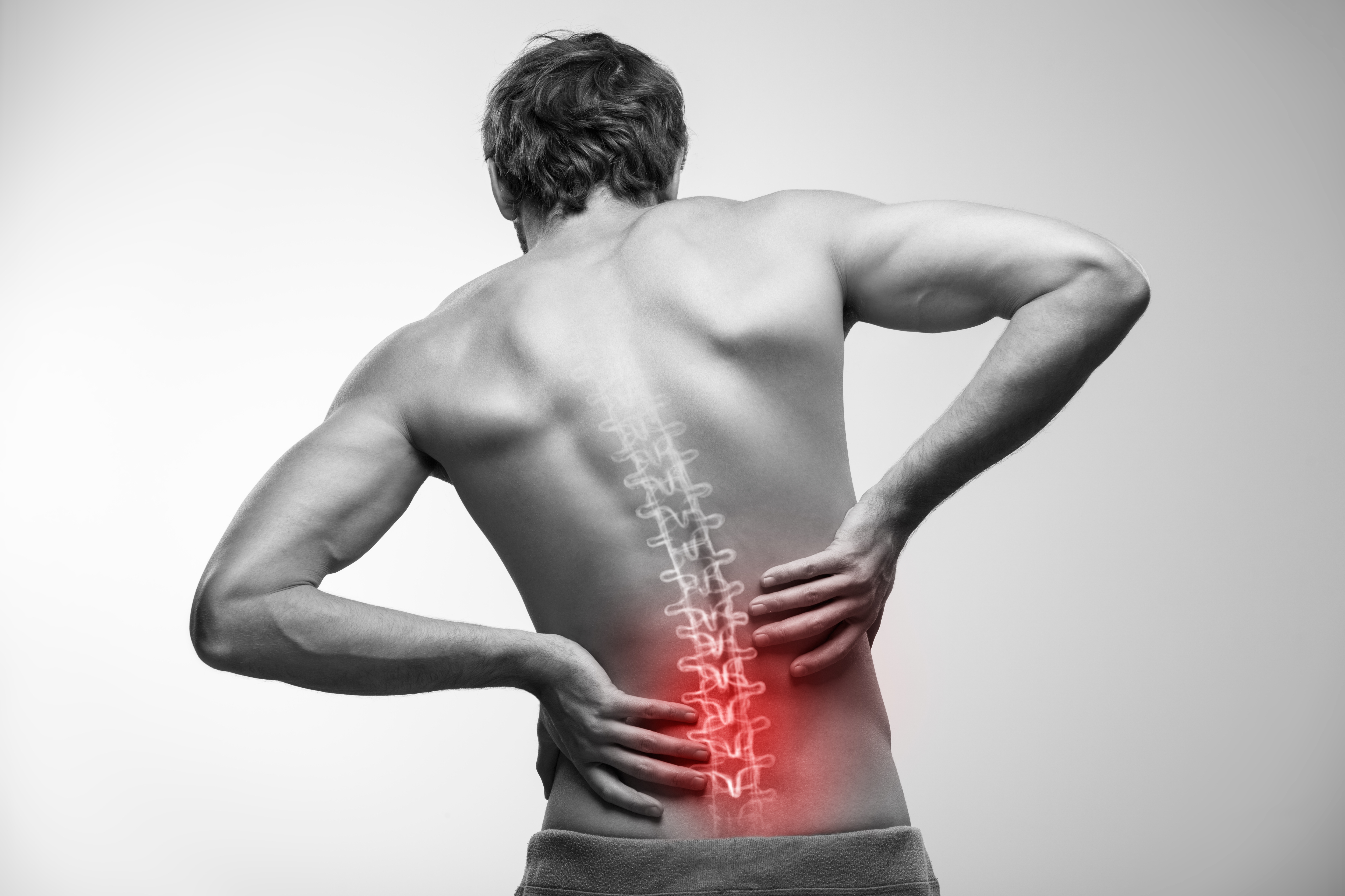 U. scientists develop cell therapy for chronic disc pain