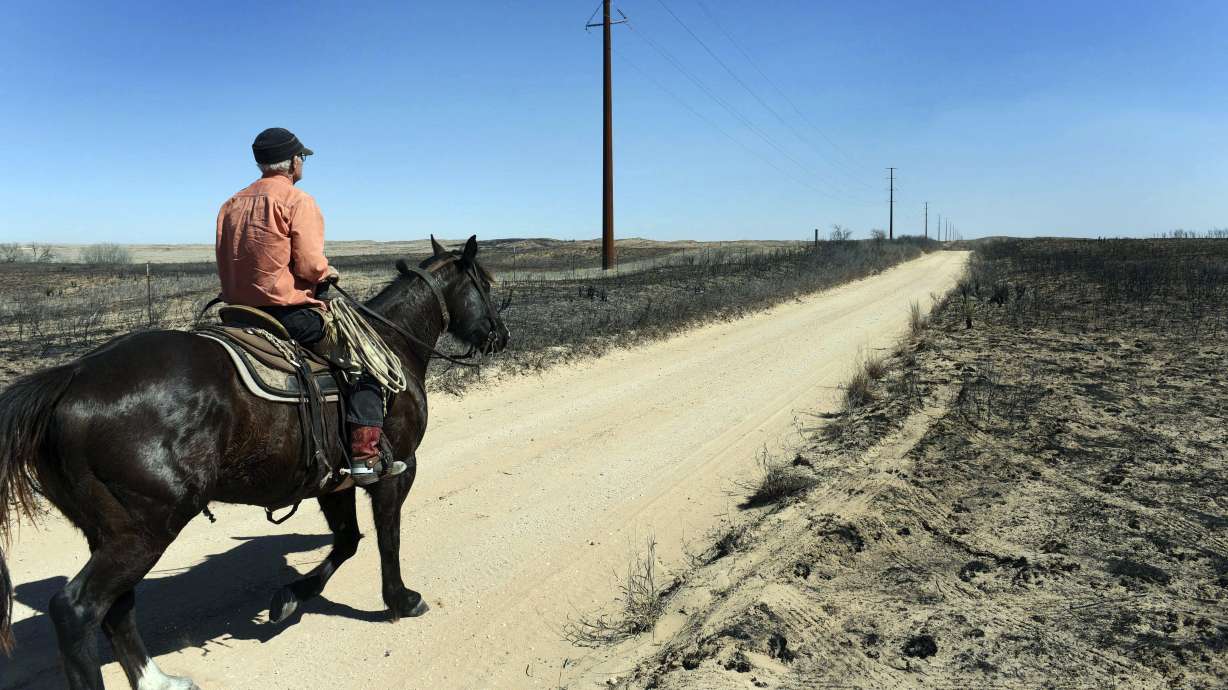 Texas faces at least $21 million in wildfire damages
