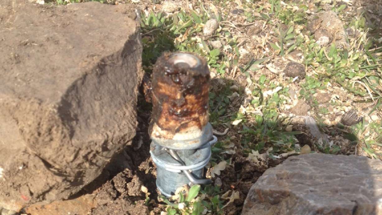 Environmental groups oppose use of cyanide capsules