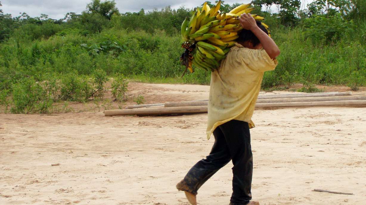 Indigenous Bolivians have some of the healthiest hearts