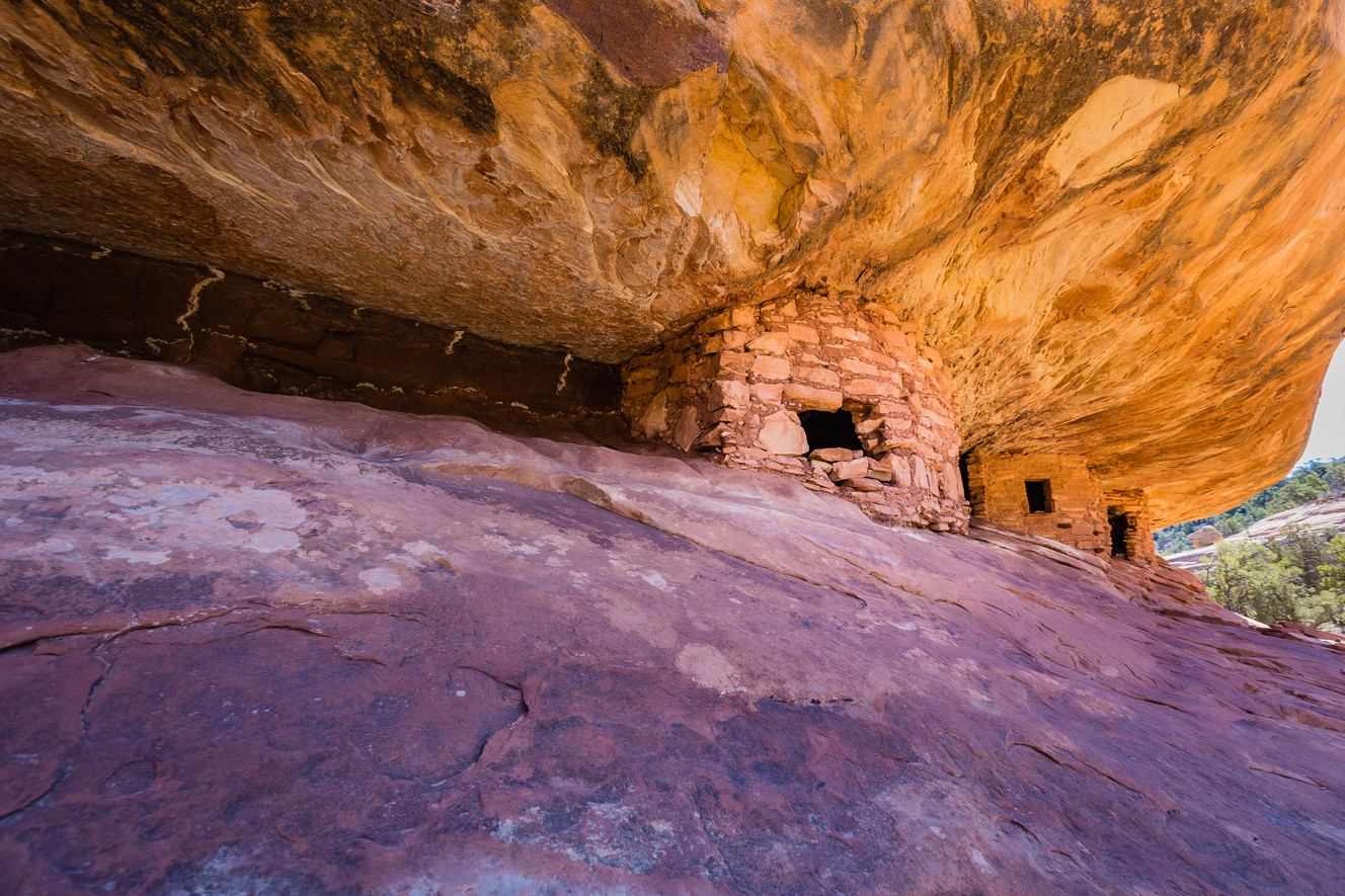 Tribal group says elimination of Bears Ears would be tragic