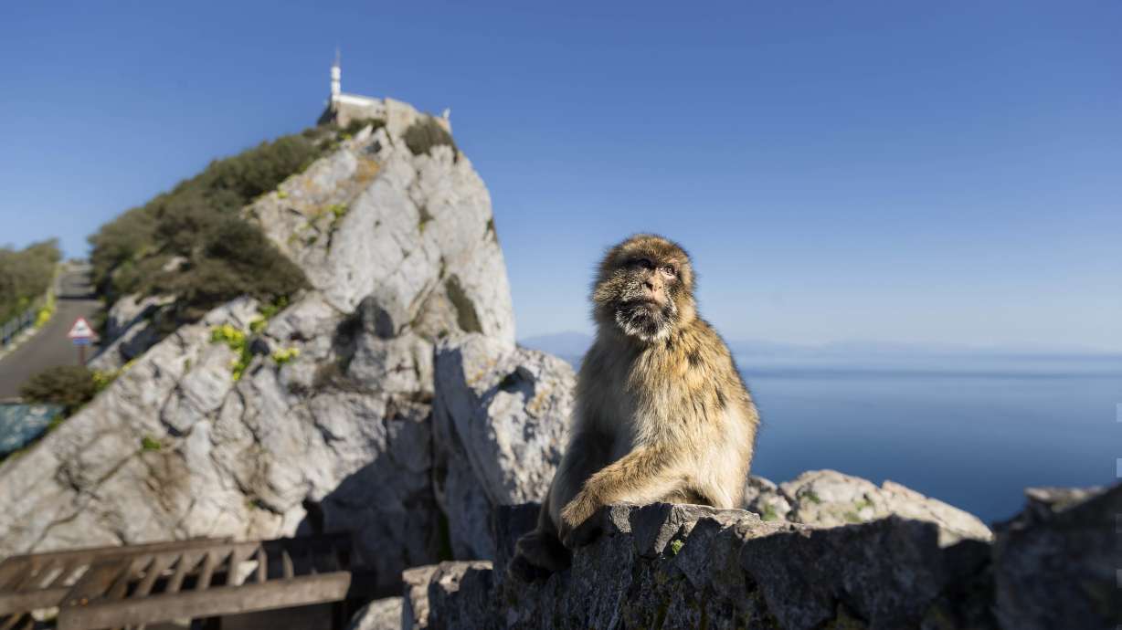 Dire straits: Gibraltar faces Brexit chaos against its will
