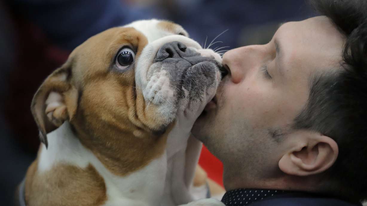 Slobbery kisses: Romania hosts show for 1,600 exotic pets