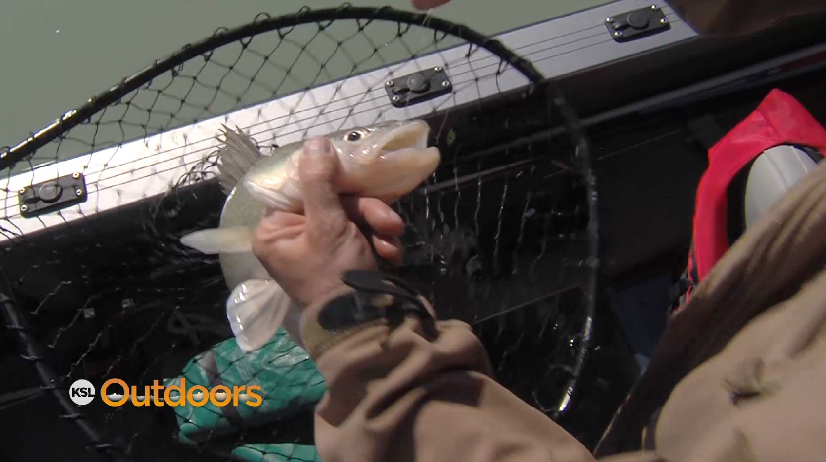 Fish Tech Fishing Tip: Early Season Walleye Spawn