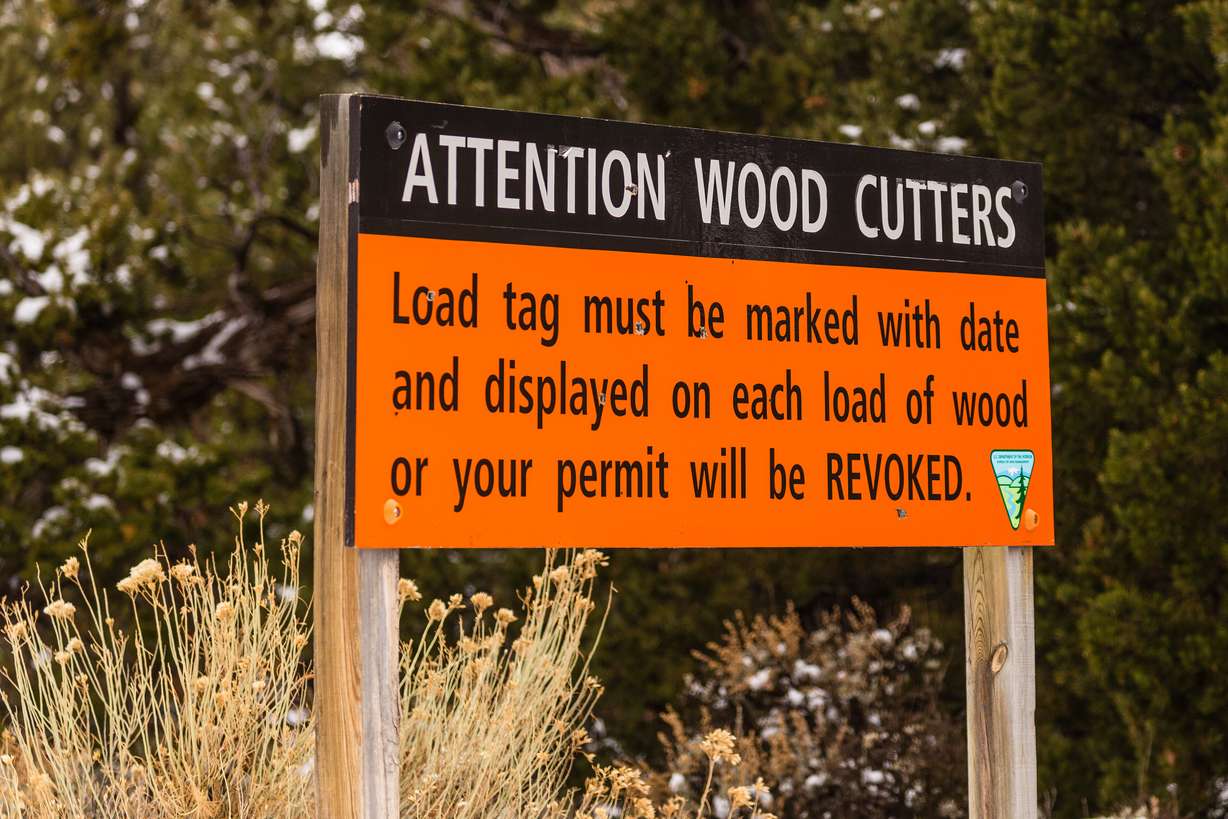 Signage informing wood gatherers of regulations on Cedar Mesa, within Bears Ears National Monument. (Photo: Dave Cawley, KSL, File)