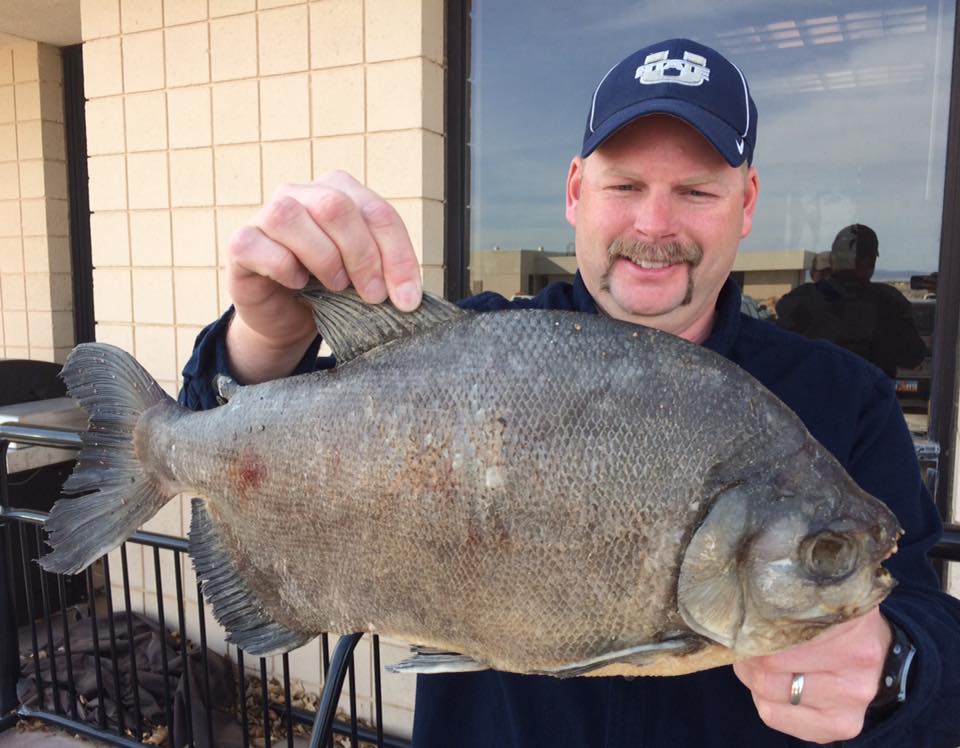 Large aquarium fish found at Cedar City pond; ditching fish creates problems