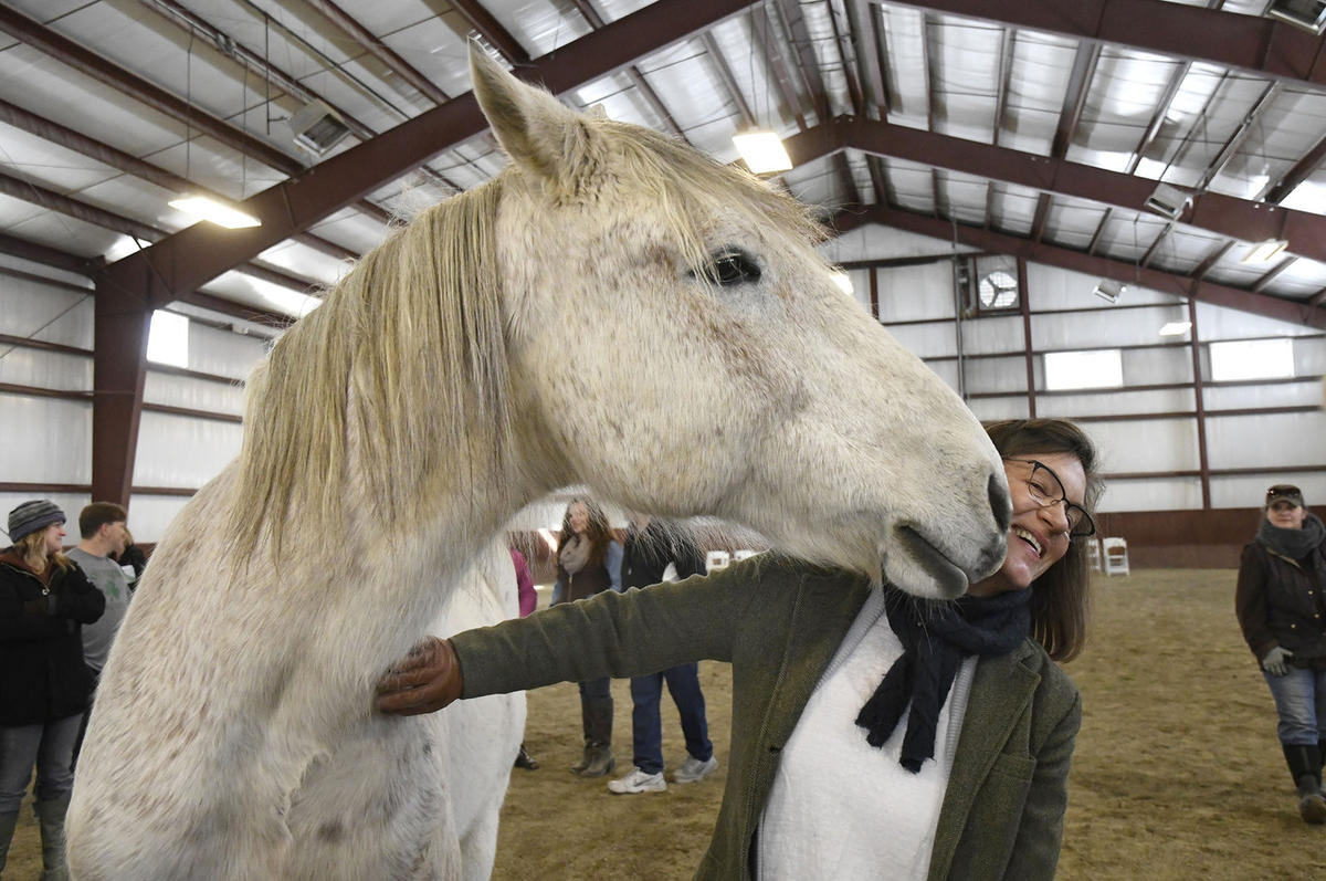 Why your next therapy session might include a horse