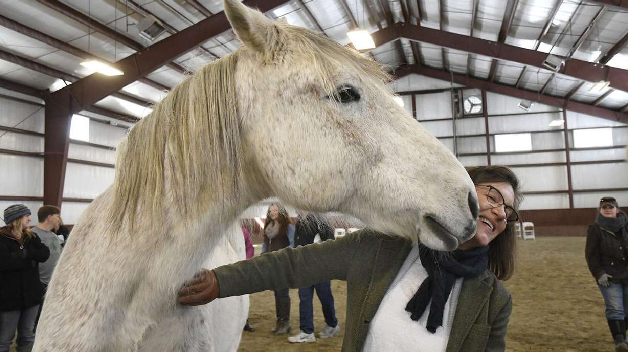 Why your next therapy session might include a horse