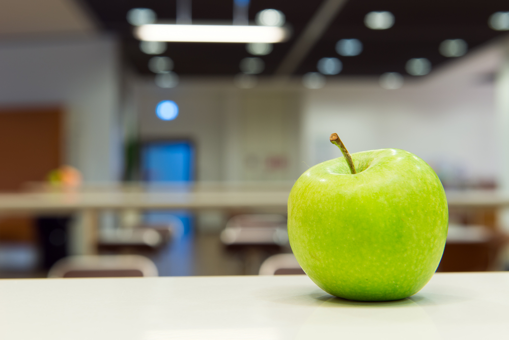 A new foundation will help pay Utah’s school lunch debt.