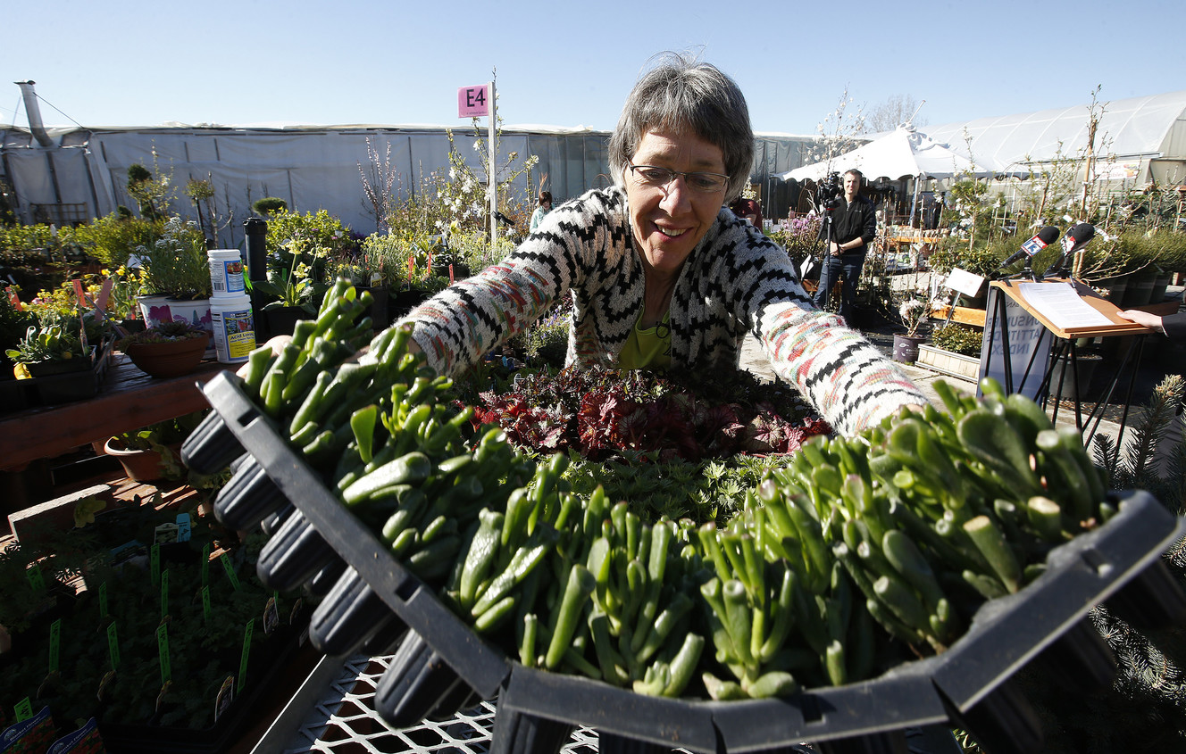 Utah consumer confidence at historic level