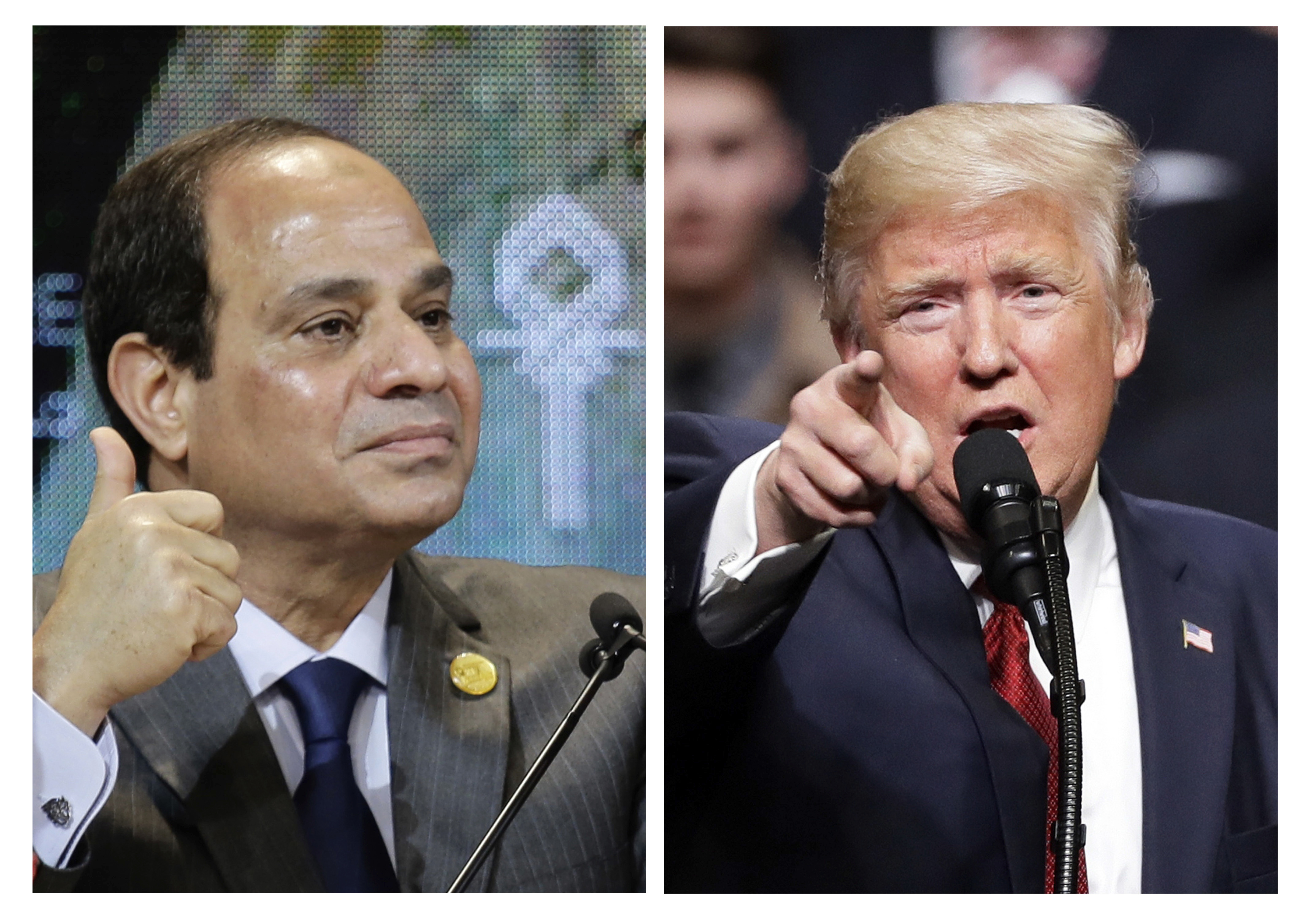 Egypt's el-Sissi and America's Trump: A common language?