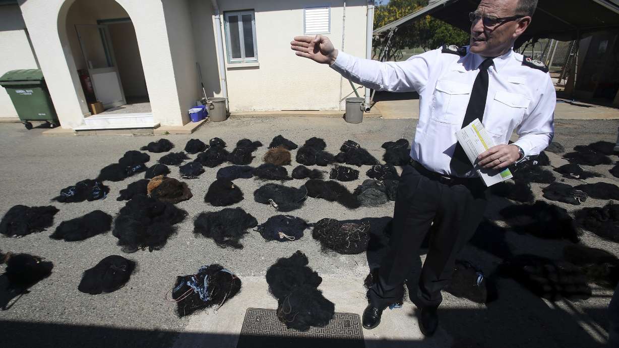 Britain defends bird-trapping crackdown at Cyprus bases