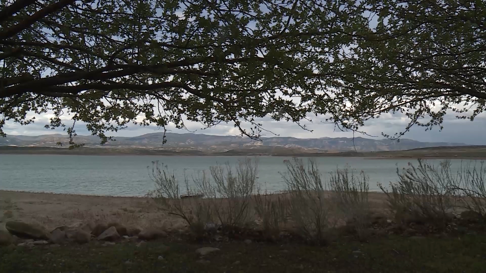 Yuba Lake under health advisory after potentially dangerous levels of toxic algae discovered