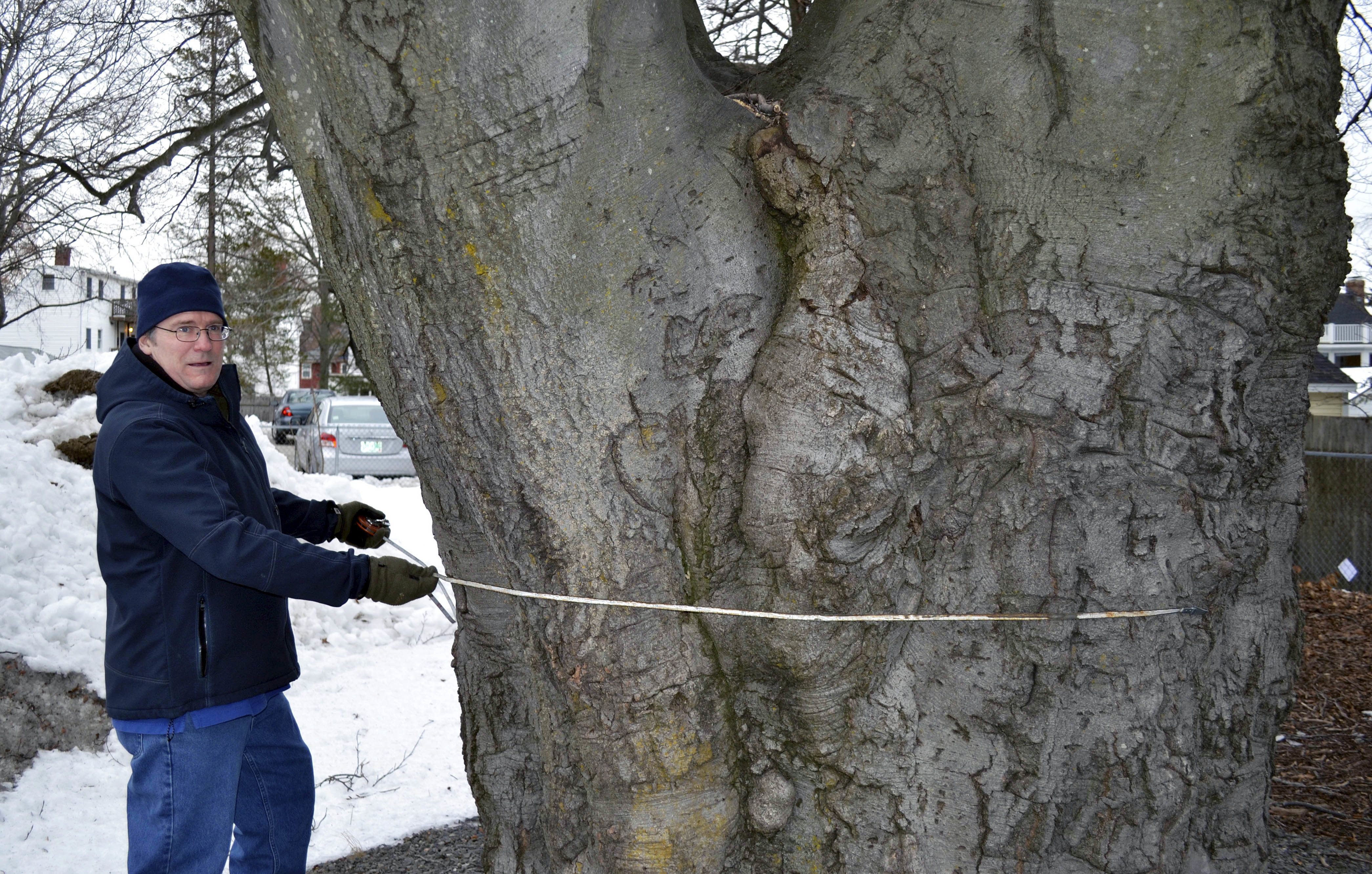 Forget roses and birds. These folks like their big trees