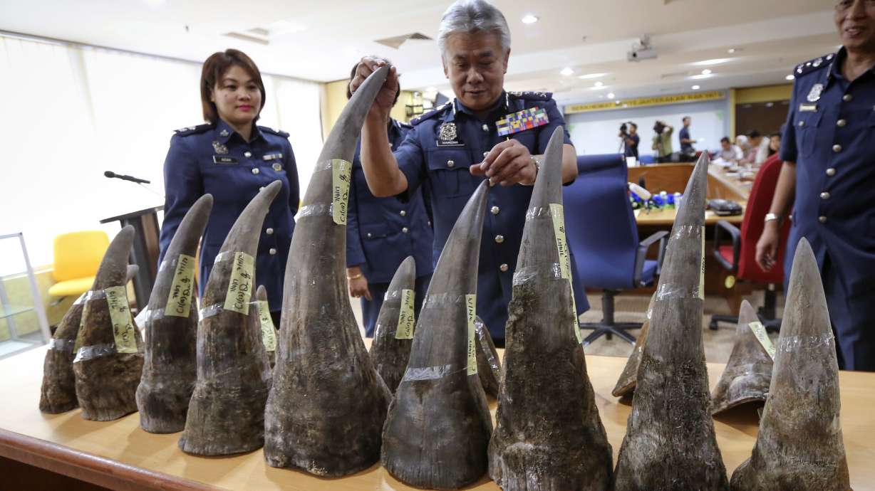 Malaysia seizes 18 rhino horns from Mozambique