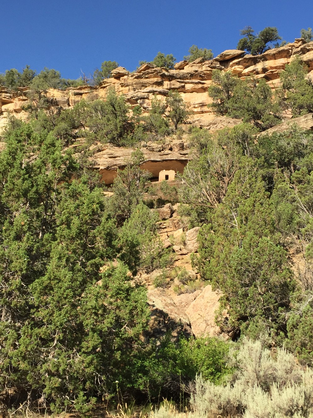 ATV ban lifted in canyon where riders protested