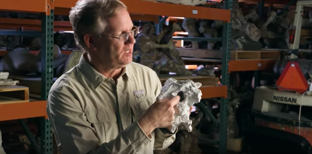 BYU professors discover new dinosaur in Moab