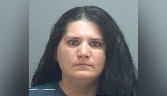 Woman accused of robbing 6 banks in 24 hours charged