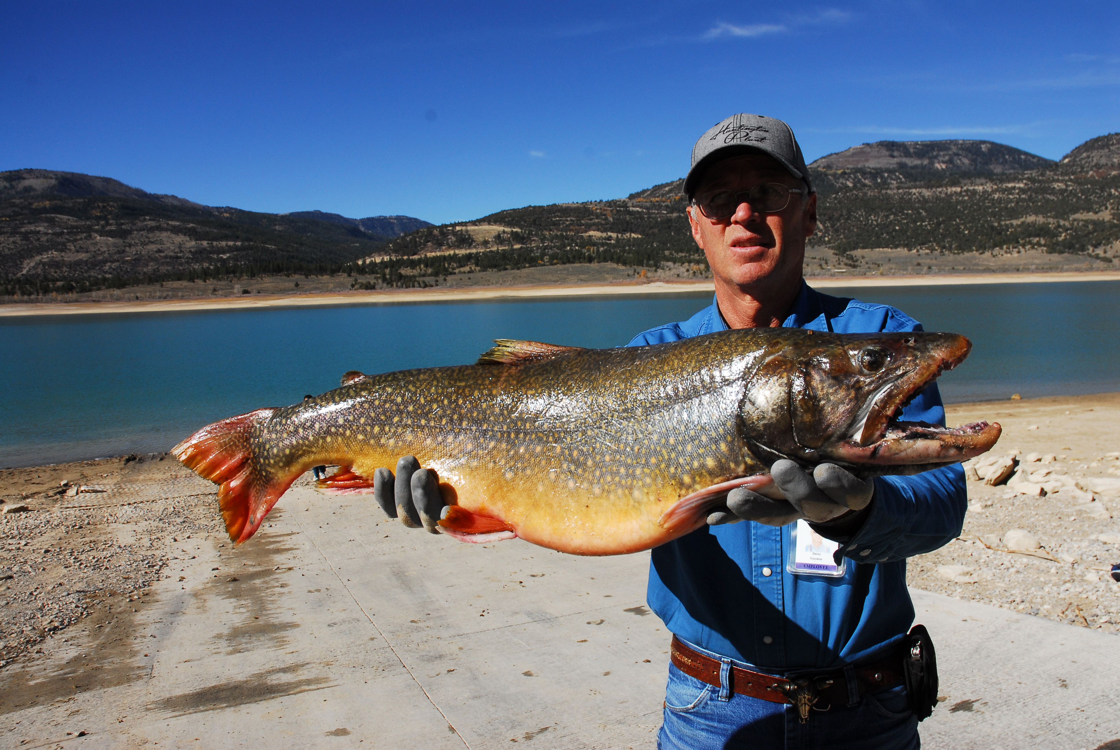 Union Valley Reservoir Fishing Report Unique Fish Photo