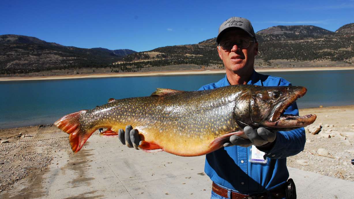 Why now is a great time to fish Joes Valley Reservoir