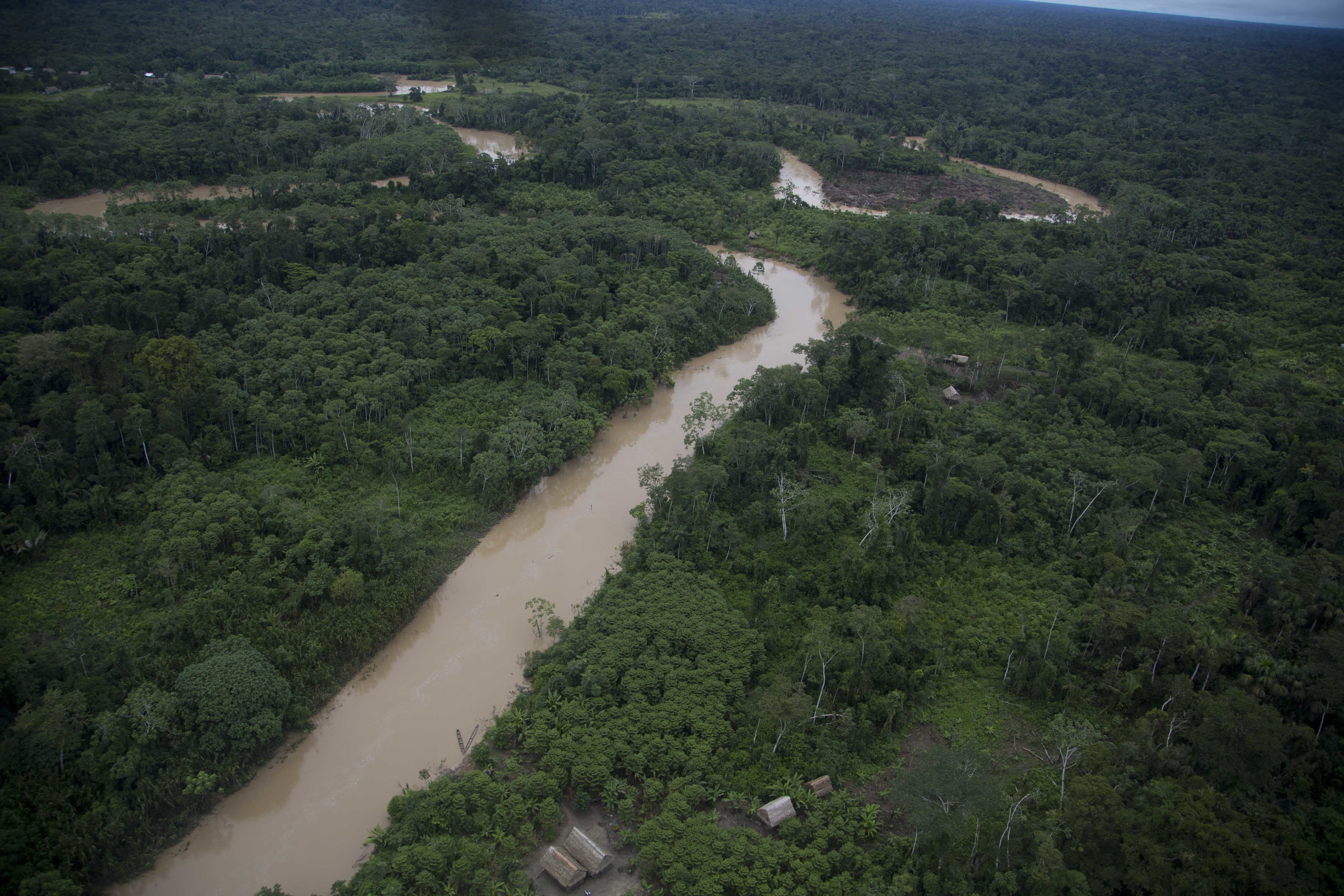 AP investigation shows Peru backsliding on illegal logging