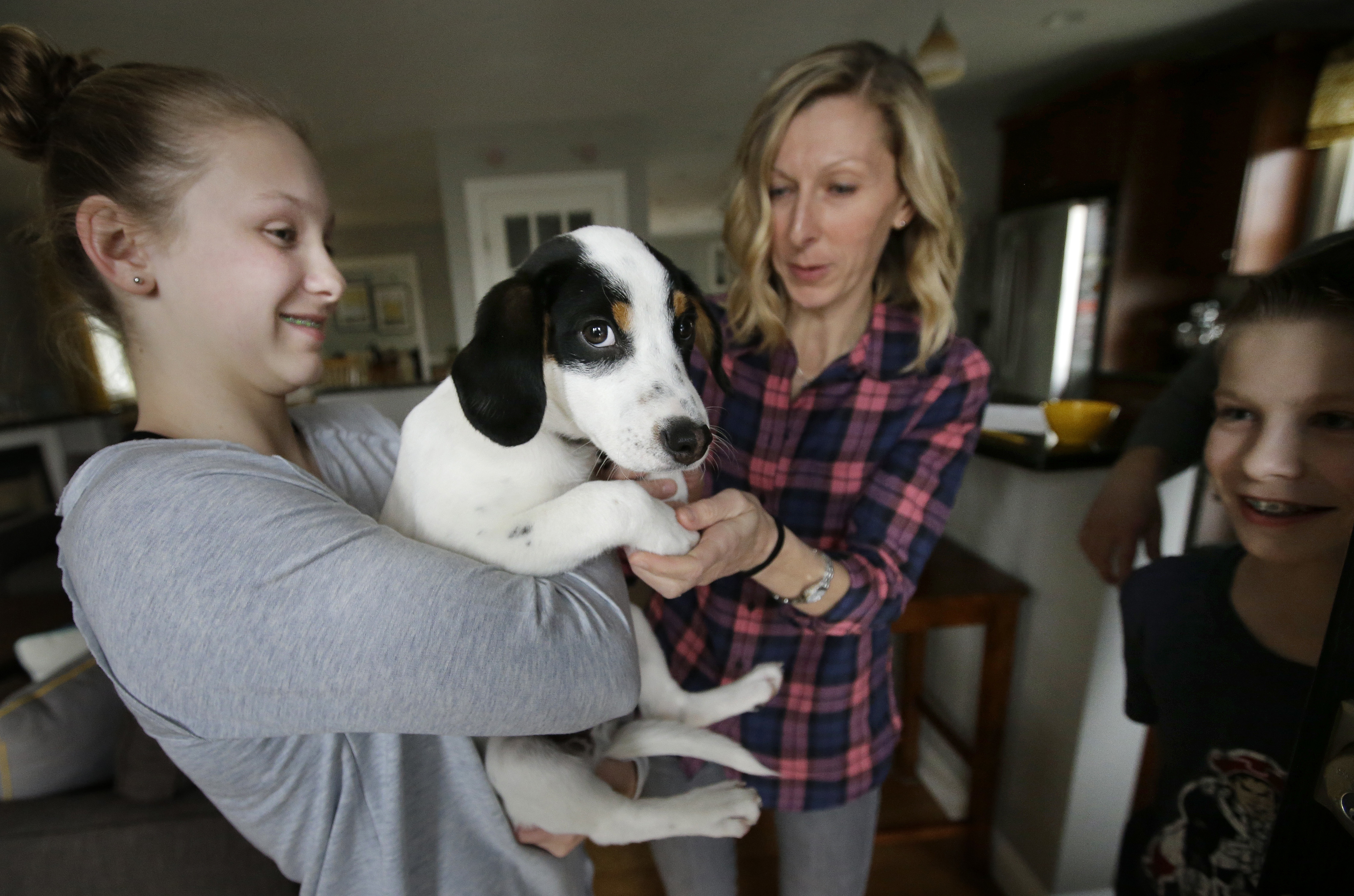 Match for mutts? New website helps people adopt the best dog