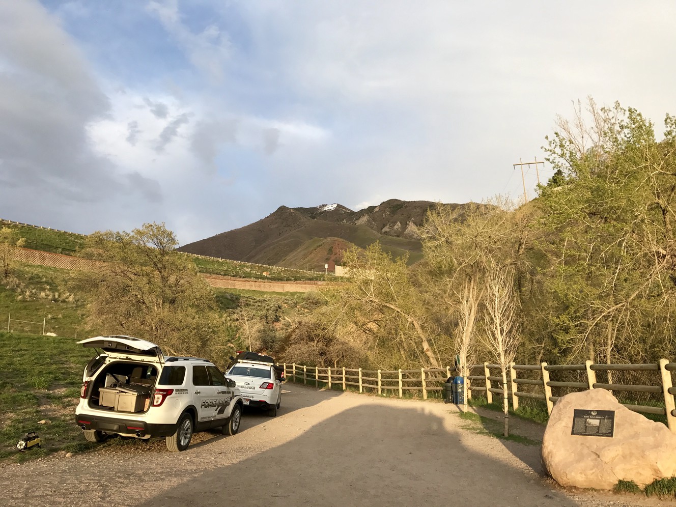 Pet owners urged not to jump into fast-moving water to save dogs during spring runoff season