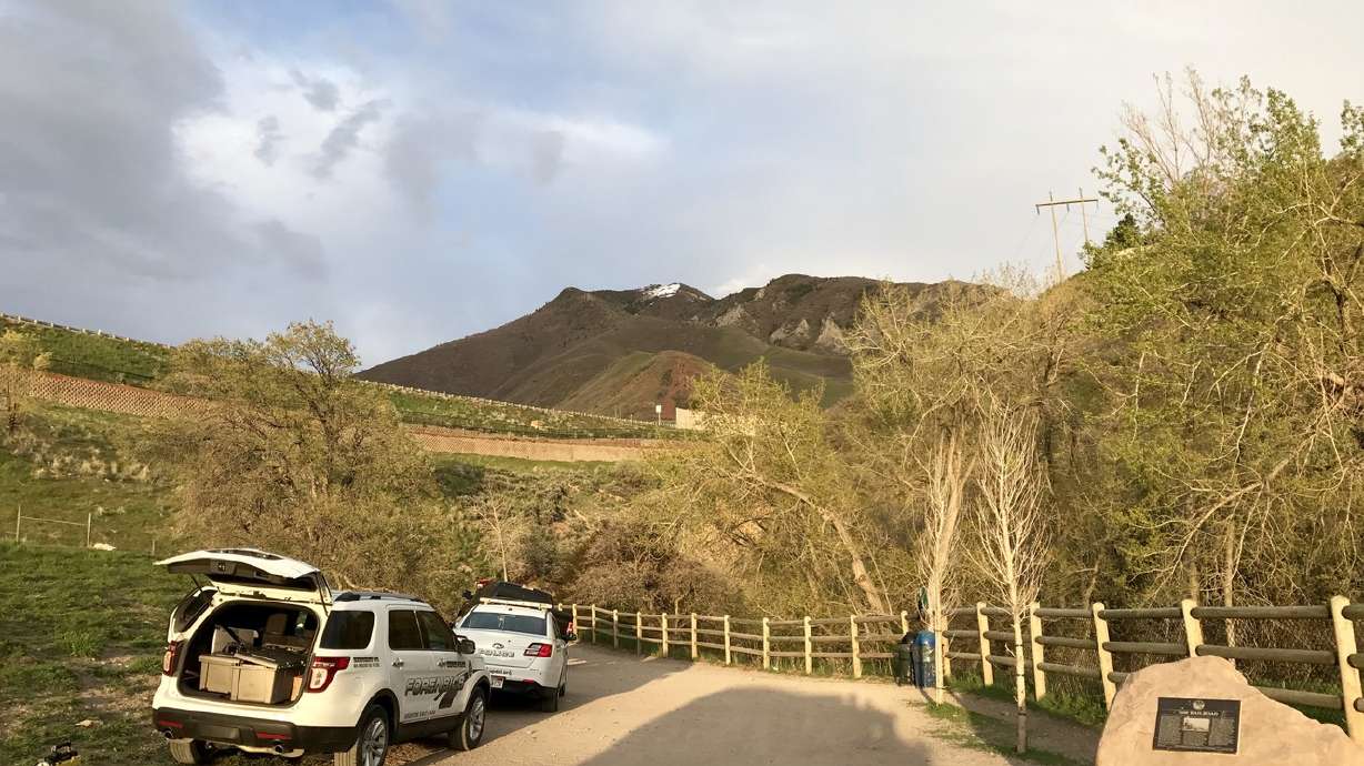 Pet owners urged not to jump into fast-moving water to save dogs during spring runoff season