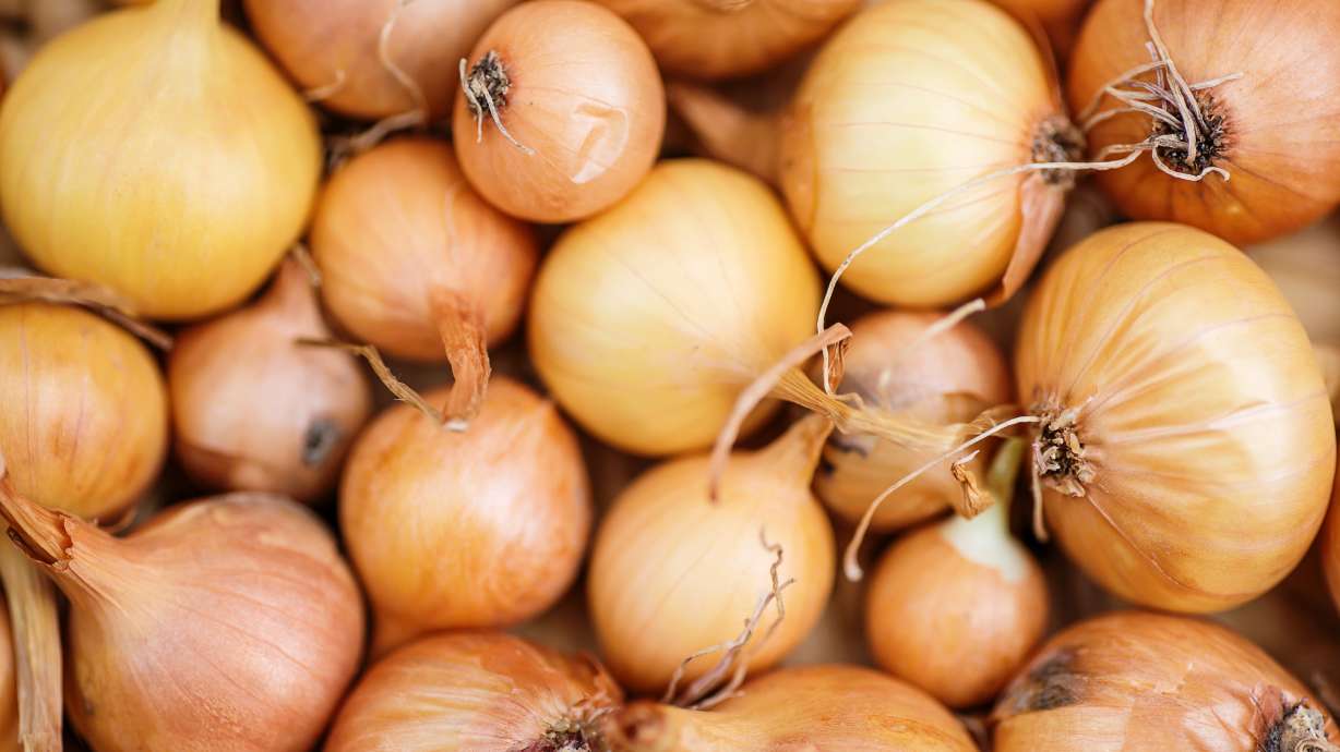 100M pounds of spoiled onions disposed of in Idaho, Oregon