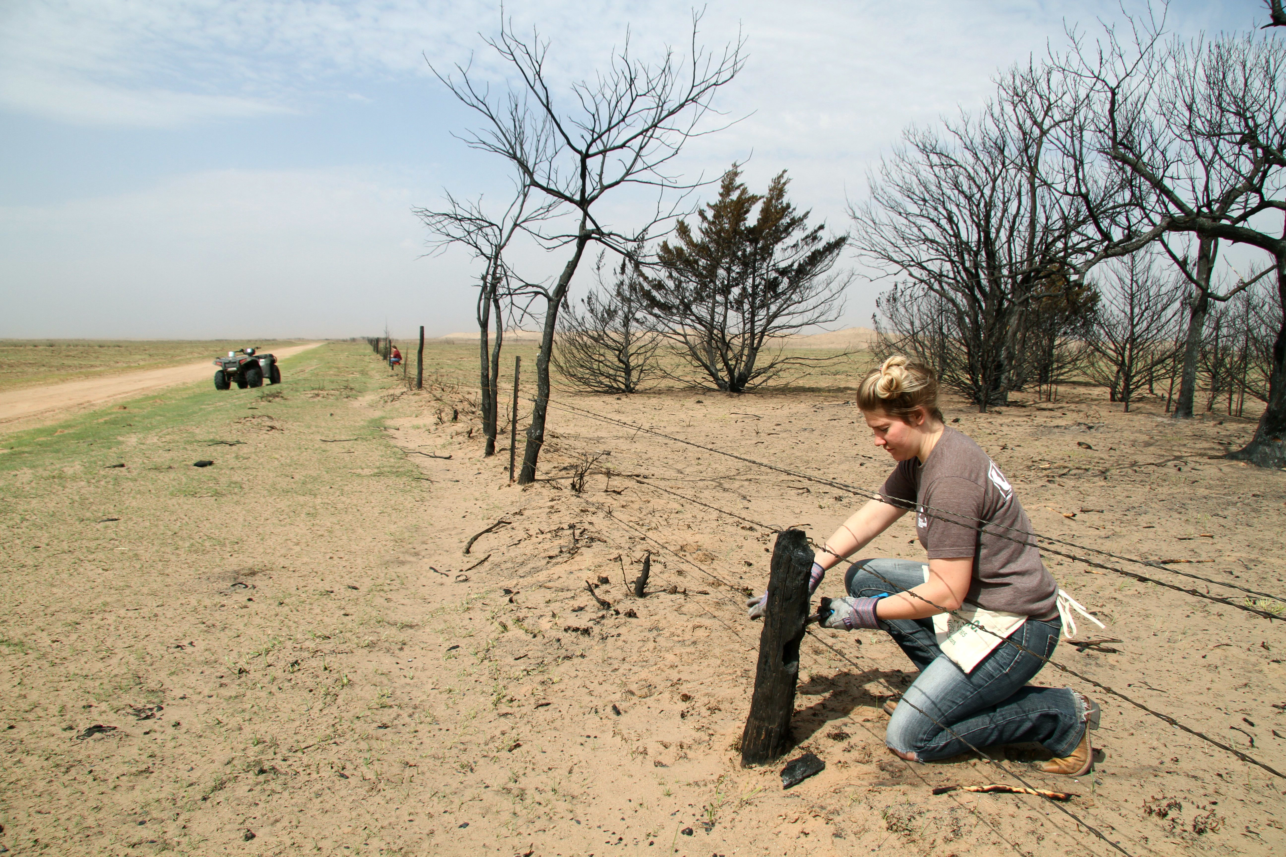 Some high plains farmers struggling after fires, drought